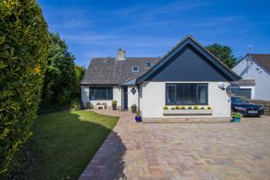 Photo 42- click for photo gallery